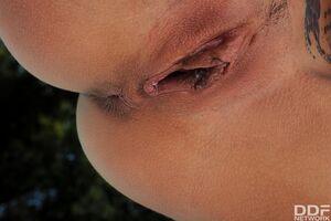 Original 1623 px/ 1080 px