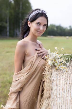 Original 854 px/ 1280 px