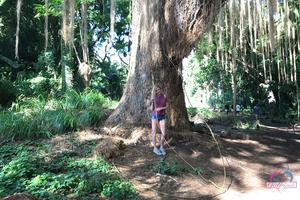 Original 3000 px/ 2000 px