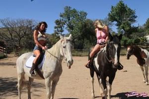 Original 1600 px/ 1066 px