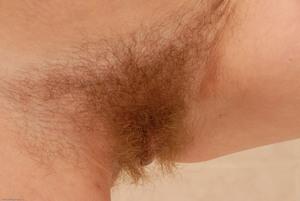 Original 3000 px/ 2008 px