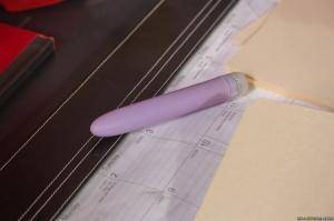 Original 2495 px/ 1663 px