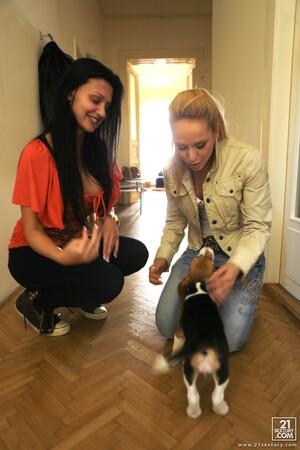 Original 3744 px/ 5616 px