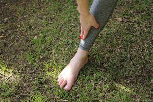 Original 2495 px/ 1663 px