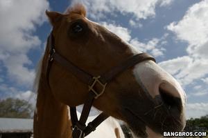 Original 800 px/ 533 px