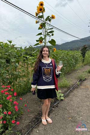 Original 2000 px/ 3000 px