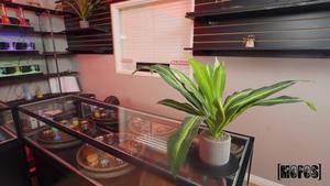 #Mofos Jackie Hoff - Jackie is Open