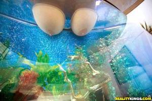 Original 900 px/ 600 px