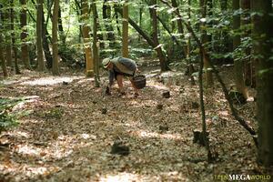 Original 3500 px/ 2333 px