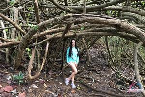 Original 3000 px/ 2000 px