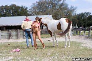 Original 800 px/ 533 px