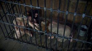 Original 1200 px/ 675 px