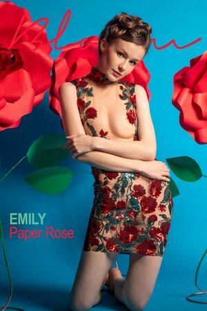 #TheEmilyBloom Emily Bloom - Paper Rose