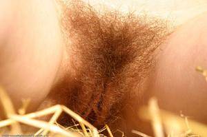 Original 1024 px/ 682 px