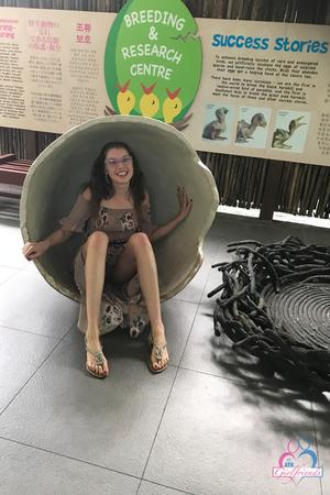 Original 2000 px/ 3000 px