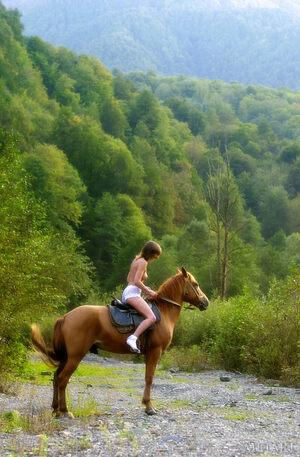 Original 1312 px/ 2000 px