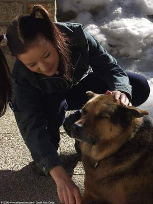 Original 1200 px/ 1600 px