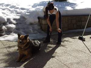 Original 1600 px/ 1200 px