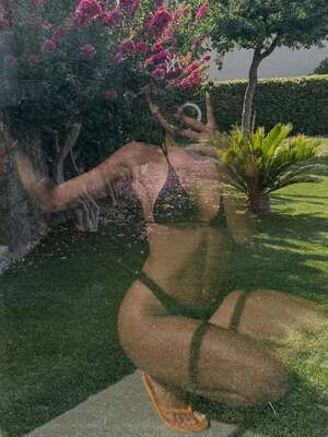 Original 640 px/ 853 px