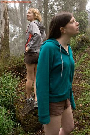 Original 981 px/ 1472 px