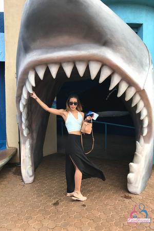 Original 2000 px/ 3000 px