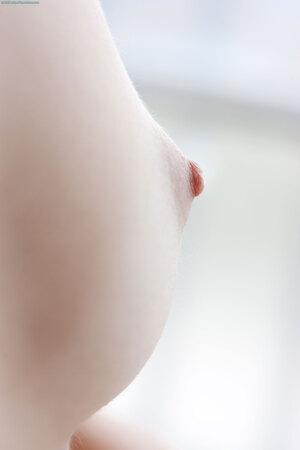 Original 2336 px/ 3504 px