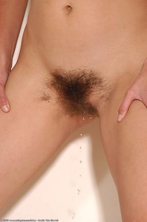 Original 680 px/ 1024 px