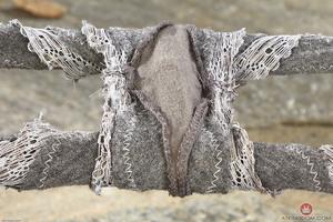 Original 3000 px/ 2000 px