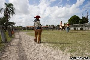 Original 800 px/ 533 px