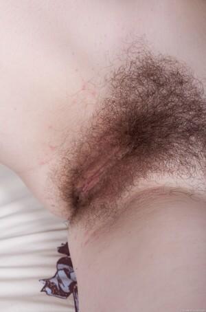 Original 1950 px/ 2950 px