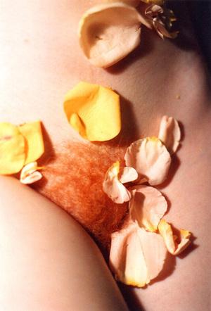 Original 516 px/ 760 px