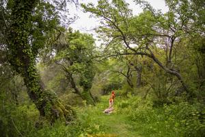 Original 5612 px/ 3741 px