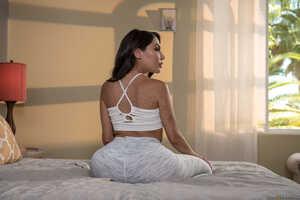 Original 2491 px/ 1663 px