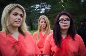 Original 1200 px/ 795 px