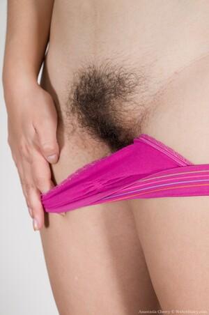 Original 1993 px/ 3000 px