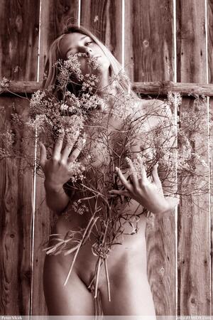 Original 2000 px/ 3000 px