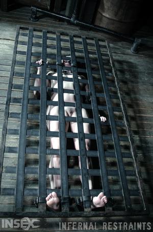 Original 795 px/ 1200 px