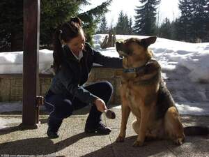 Original 1600 px/ 1200 px