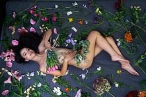 Original 7952 px/ 5304 px