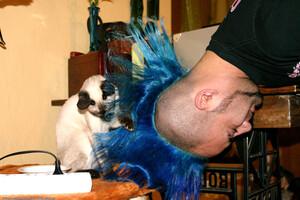 Original 1536 px/ 1024 px