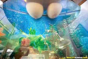 Original 900 px/ 600 px