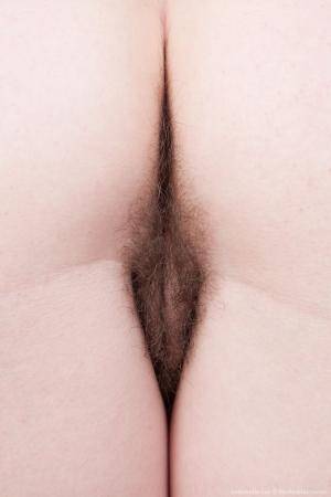 Original 852 px/ 1280 px