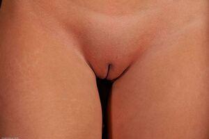 Original 1280 px/ 854 px