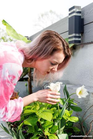 Original 4000 px/ 6000 px