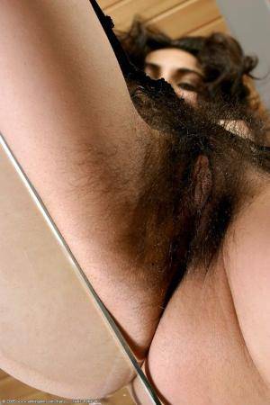 Original 682 px/ 1024 px