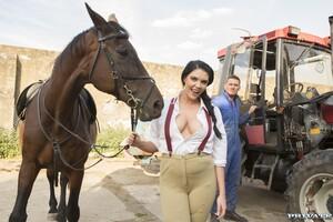 Original 1600 px/ 1067 px