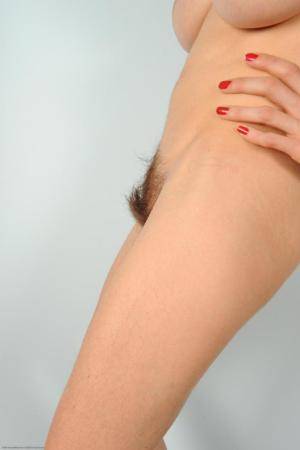 Original 682 px/ 1024 px