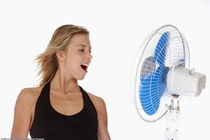 Original 1536 px/ 1024 px