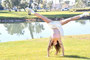 Original 2464 px/ 1640 px