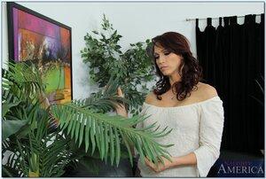 Original 850 px/ 571 px